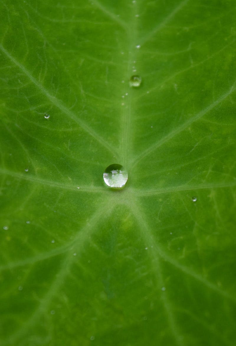 Couple enjoying a cozy intimate moment in the bedroom